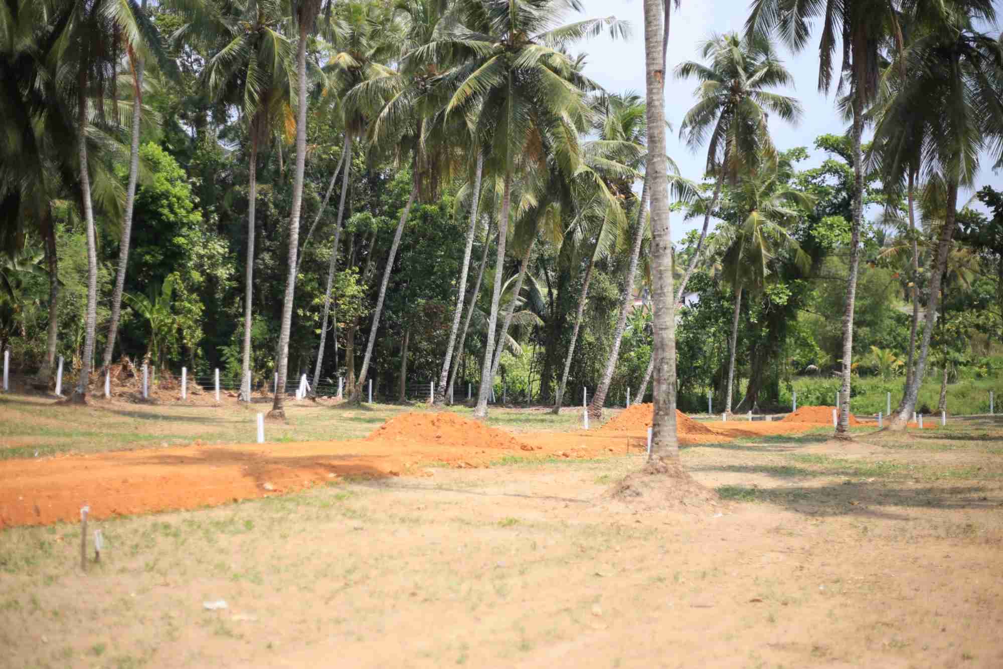 coconut land for sale in gampaha