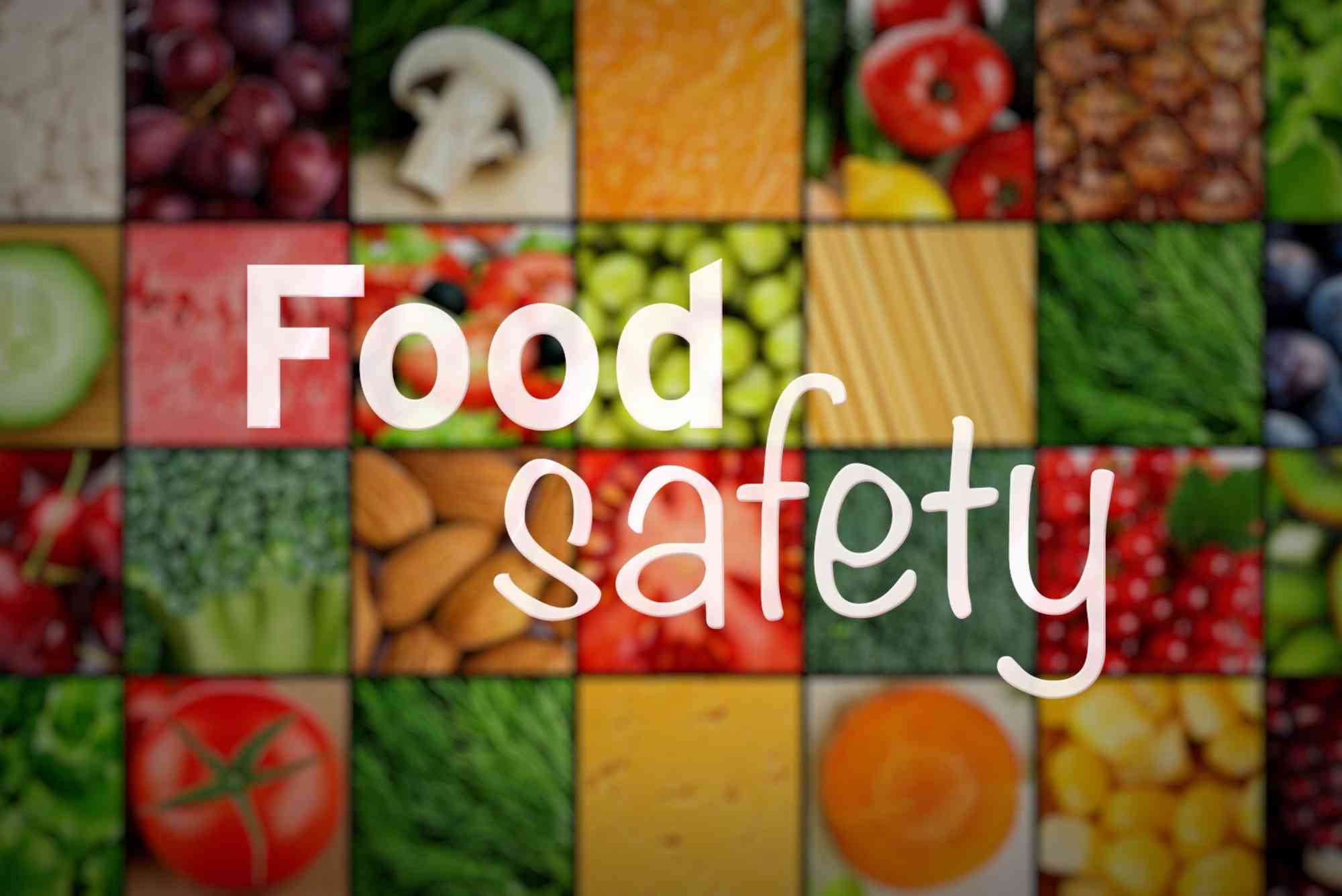 Food Safety Resume Objective