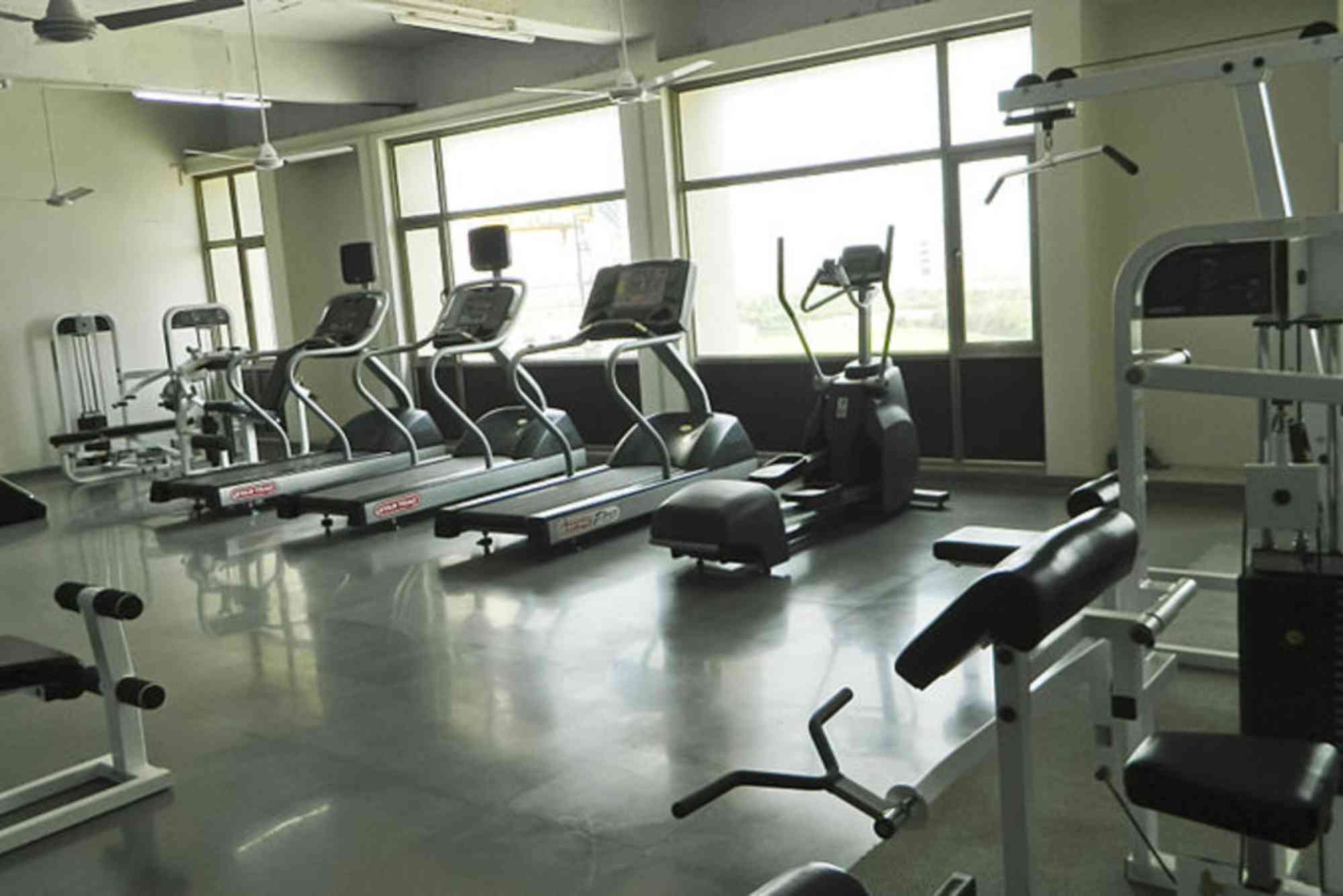 Gym & Fitness Club